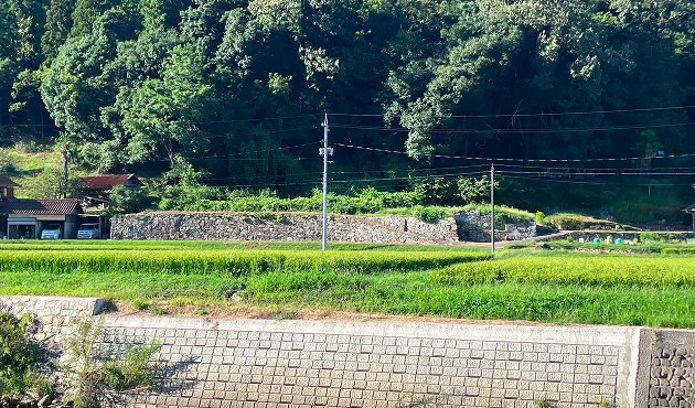 土地写真